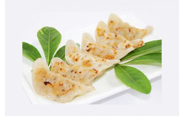 E13 Raviolis au poulet 