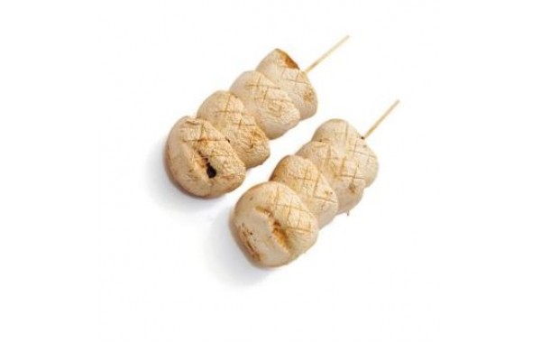 Y11 Champignon