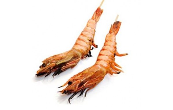 Y3 Gambas